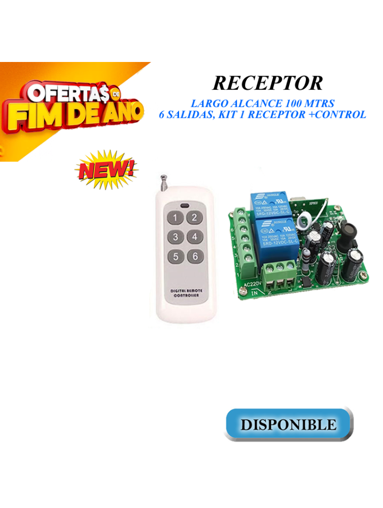 RECEPTOR LARGO ALCANCE 100 METROS